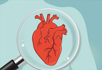 4 Cardiovascular Disease Myths and Facts | mHospitals